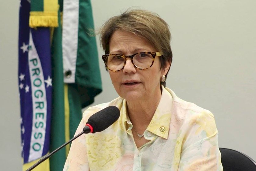 TERESA CRISTINA A SENADORA DE MS