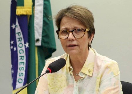 TERESA CRISTINA A SENADORA DE MS