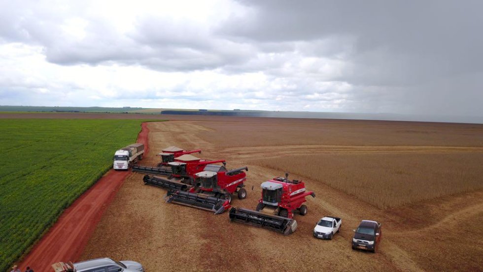 Cooperoeste tem boas expectativas com a safra 2023