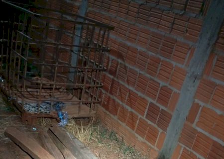Ação conjunta da Polícia Militar e Polícia Civil prende suspeito de furto de madeiras em Ivinhema.