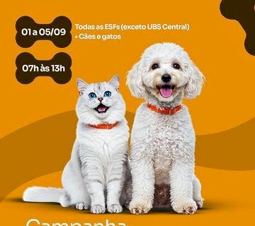Nova Andradina intensifica vacinação antirrábica e convoca tutores para proteger cães e gatos